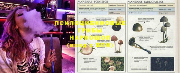 синтетический гашиш Протвино