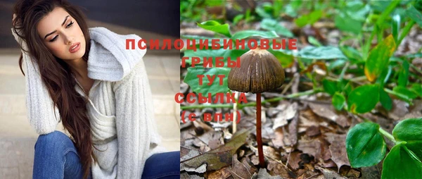синтетический гашиш Протвино