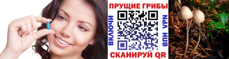купить наркоту Абинск Псилоцибиновые грибы мицелий