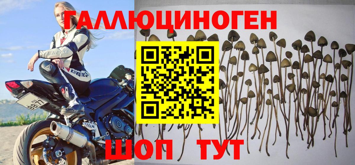 Галлюциногенные грибы ЛСД  Вход с VPN  Абинск 